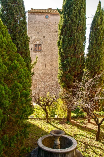 backyard of a medieval building in the old center of Viterbo with an old well and cypress tree