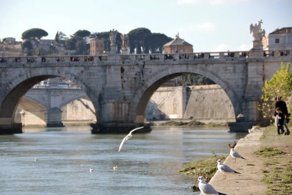 Nézd Tiberis Sant Angelo Híd Róma Olaszország — Stock Fotó