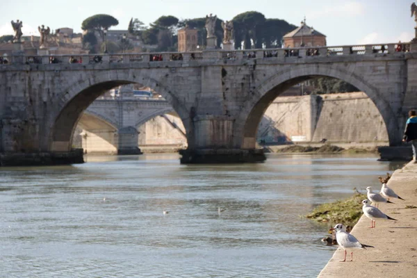 Άποψη Του Τίβερη Και Sant Angelo Γέφυρα Στη Ρώμη Ιταλία — Φωτογραφία Αρχείου