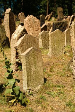 Eski Yahudi Mezarlığı, en önemli Yahudi tarihi anıtlarından Prag, Çek Cumhuriyeti