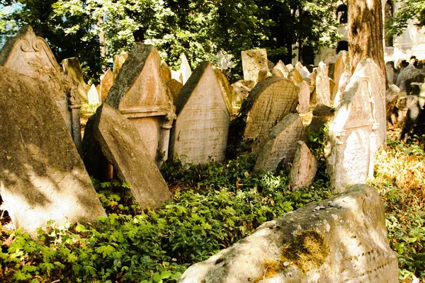 Antiguo Cementerio Judío Uno Los Monumentos Históricos Judíos Más Importantes — Foto de Stock