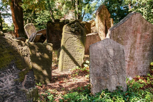 Vecchio Cimitero Ebraico Uno Dei Più Importanti Monumenti Storici Ebraici — Foto Stock