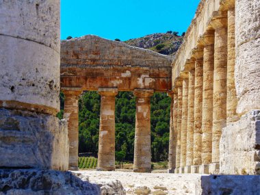 Akdeniz maki arasında yükselen Dorik Segesta Tapınağı.