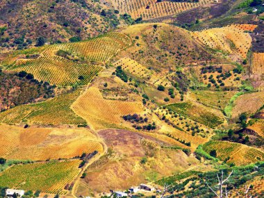 Arkeolojik Segesta-Calatafimi, Sicilya, İtalya'nın Segesta şehir Yunan tiyatro harika görünümünden