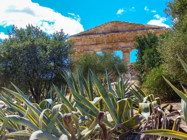 Dorische Tempel Van Segesta Stijgt Onder Mediterrane Maquis — Stockfoto