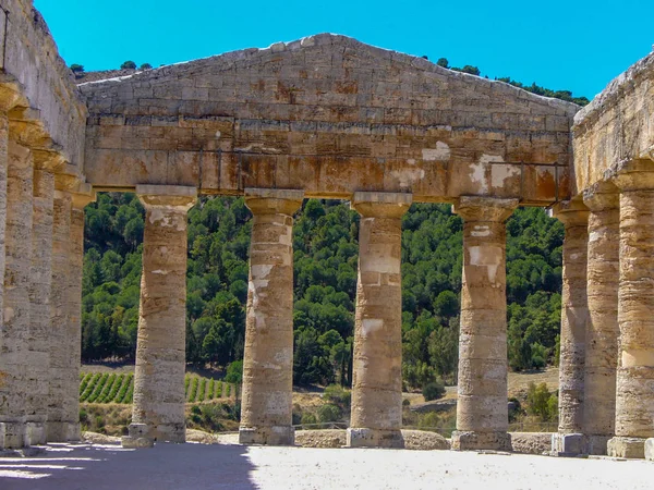 Akdeniz Maki Arasında Yükselen Dorik Segesta Tapınağı — Stok fotoğraf