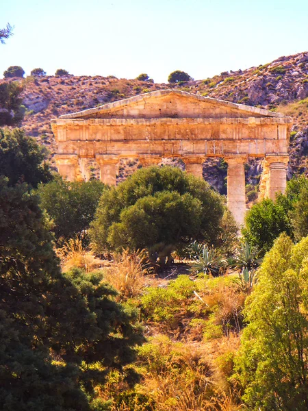 Δωρικός Ναός Του Segesta Αυξάνεται Μεταξύ Των Μεσογειακών Θαμνώνων — Φωτογραφία Αρχείου