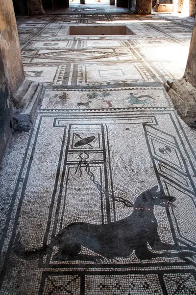Pompei 2017 Mosaico Raffigurante Cane Nell Antica Città Romana Pompei — Foto Stock