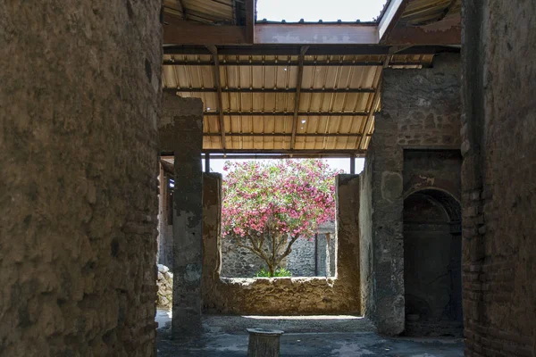 Pompei 2017 Pozůstatky Starověké Římské Město Pompeje Zničeny Erupcí Vesuvu — Stock fotografie