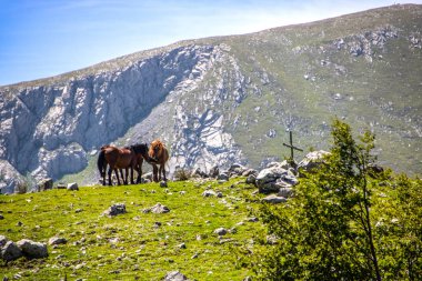 Pollino Milli Parkı, Basilicata ve Calabria, İtalyan bölgeleri ve ücretsiz atlar bir grup geniş doğal bir rezerv peyzaj