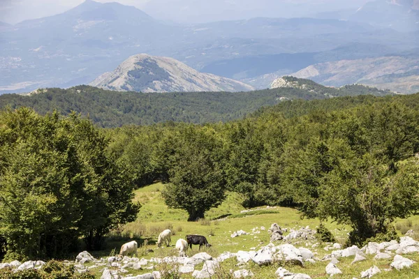 Landschaft Des Pollino Nationalparks Ein Weites Naturreservat Der Basilikata Und — Stockfoto