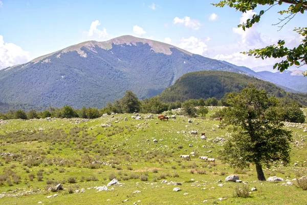 Landschaft Des Pollino Nationalparks Ein Weites Naturreservat Der Basilikata Und — Stockfoto