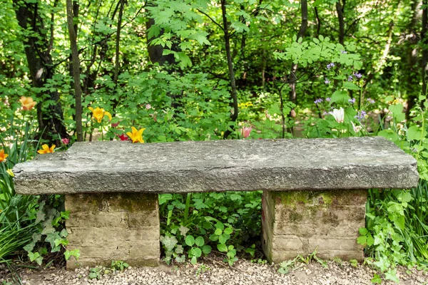 Springly の花に囲まれたベンチ — ストック写真