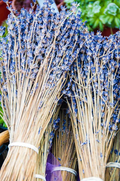 Bouquets De Fleurs Séchées De Lavande à Vendre à Aix En