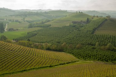 Langhe, Piedmont, İtalya manzarası