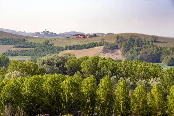 Landschaft Der Langhe Piemont Italien — Stockfoto