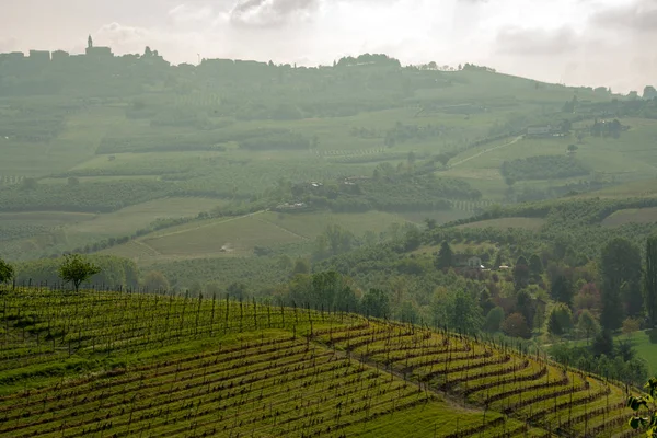 Krajobraz Langhe Piemont Włochy — Zdjęcie stockowe