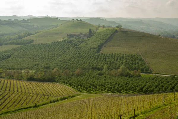 Krajobraz Langhe Piemont Włochy — Zdjęcie stockowe