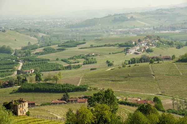 Landscape Langhe Piedmont Olaszország — Stock Fotó