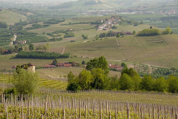 Landscape Langhe Piedmont Italy — Stock Photo, Image