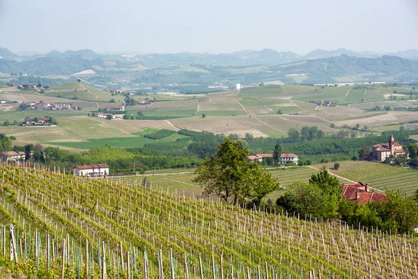 Krajobraz Langhe Piemont Włochy — Zdjęcie stockowe