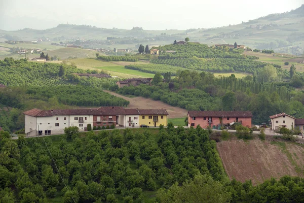 Landscape Langhe Piedmont Olaszország — Stock Fotó