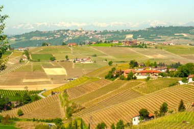 Langhe, Piedmont, İtalya manzarası