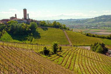 Langhe ve onun Kulesi, Piedmont, İtalya ile Barbaresco Köyü manzara