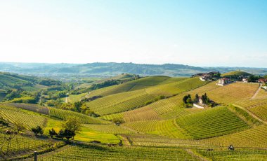 Langhe, Piedmont, İtalya manzarası
