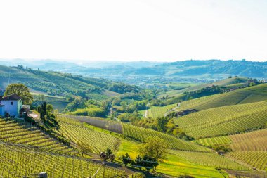 Langhe, Piedmont, İtalya manzarası