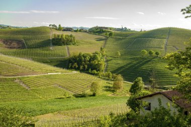 Langhe, Piedmont, İtalya manzarası