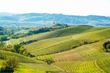 Langhe, Piedmont, İtalya manzarası