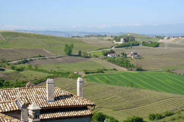 Lanskap Langhe Piedmont Italia — Stok Foto