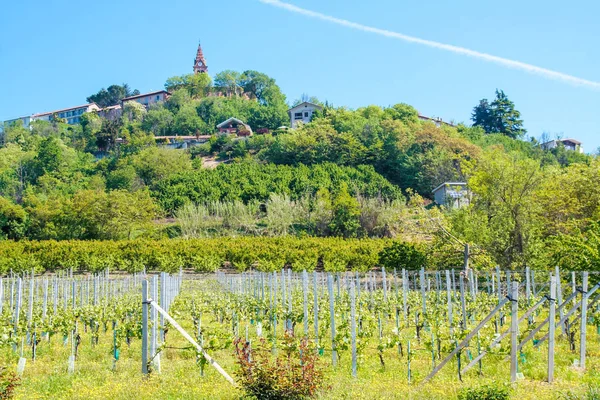 Paisagem Langhe Piemonte Itália — Fotografia de Stock