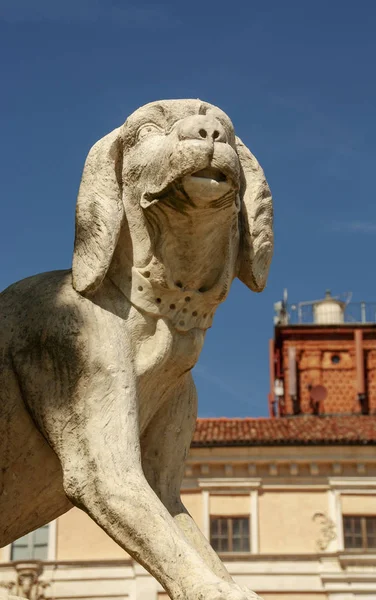 Скульптура Собаки Govone Замку Ланге Piedmomt Італія — стокове фото
