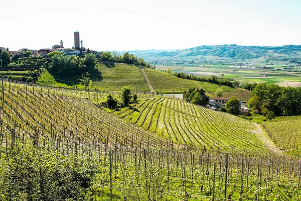 Krajobraz Langhe Wieś Barbaresco Wieżą Piemont Włochy — Zdjęcie stockowe