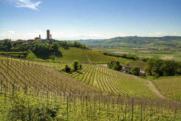 Landscape Langhe Village Barbaresco Its Tower Piedmont Italy — Stock Photo, Image