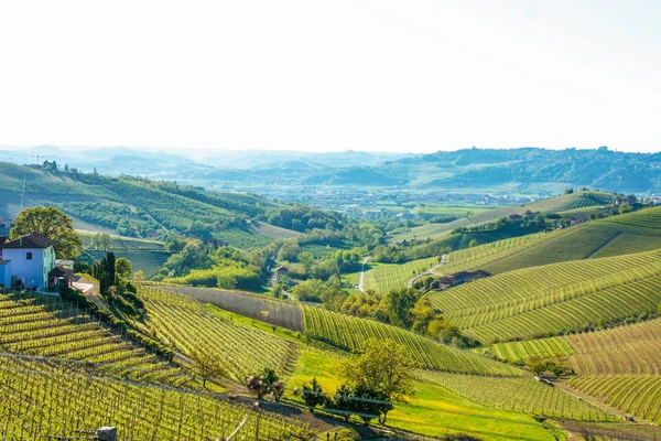 Langhe, Piedmont, İtalya manzarası