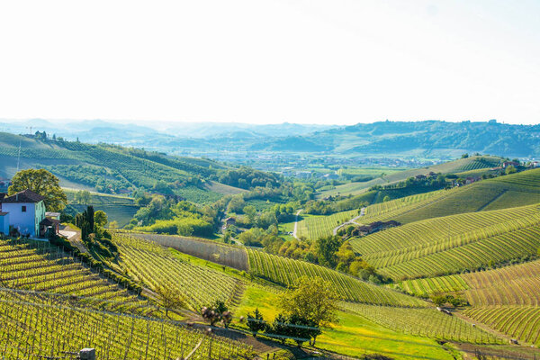 Landscape of langhe, Piedmont, Italy