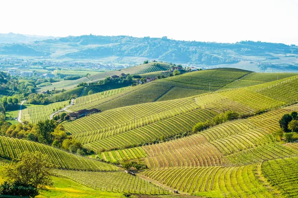 Langhe Piedmont Talya Manzarası — Stok fotoğraf