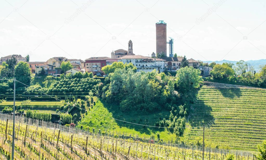 Landscape of langhe and the village of Barbaresco with its tower, Piedmont, Italy