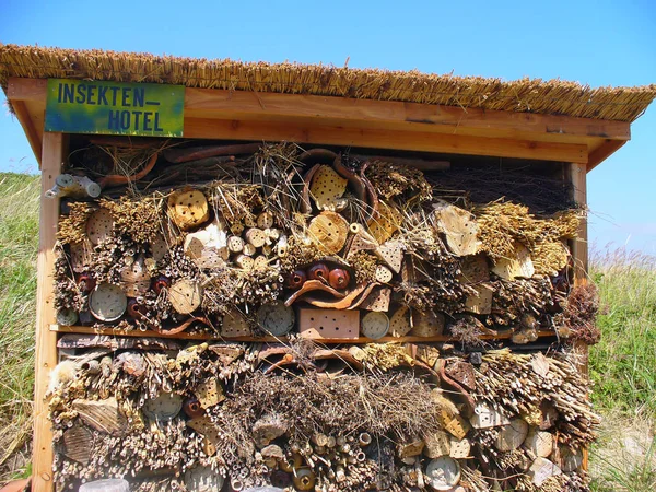 insects hotel, insecten hotel,  in dutch countryside