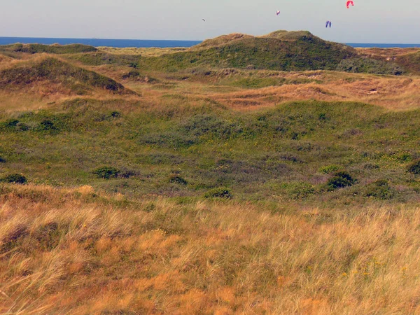 Dunas Areia Ilha Texel Reserva Natural Nos Países Baixos — Fotografia de Stock