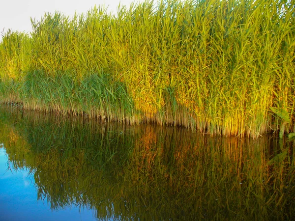 Paisaje Canales Holandeses Campo Región Norte Los Países Bajos —  Fotos de Stock