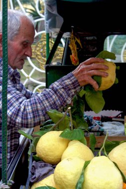 Sorrento - İtalya - Tarih - 05 - 2009 - Pazar tipik limon likörü yerel sorrento'nın limon, limoncello için ideal ile bağlantılı olarak durak
