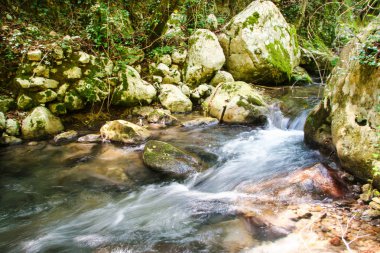 güzel çevre nehrin Bussento diriliş, bir doğal rezerv Cilento Milli Parkı çevresinde
