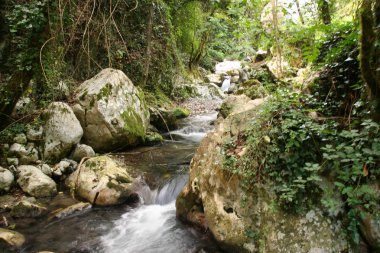 güzel çevre nehrin Bussento diriliş, bir doğal rezerv Cilento Milli Parkı çevresinde