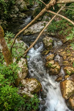 güzel çevre nehrin Bussento diriliş, bir doğal rezerv Cilento Milli Parkı çevresinde