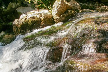 güzel çevre nehrin Bussento diriliş, bir doğal rezerv Cilento Milli Parkı çevresinde