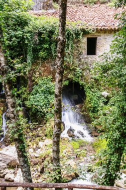 Morigerati doğal rezerv antik su değirmeni, Cilento Milli Parkı Bussento nehri tarafından, Salerno eyaleti, Campania, İtalya